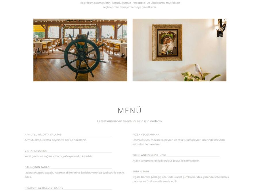 pineapple restaurant marmaris - yaka digital reklam ajansı web tasarımı