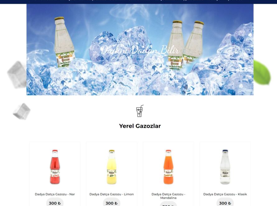 Yerel Gazoz e-ticaret - yaka digital reklam ajansı web tasarımı